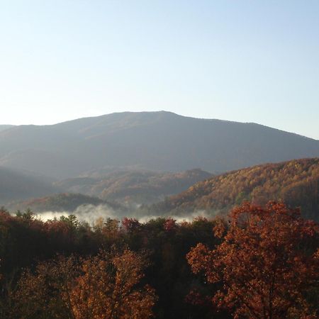 Bear Necessities, Luxury 5Bd Mtn Views, Hot Tub, Many Bear Sightings Villa Gatlinburg Luaran gambar