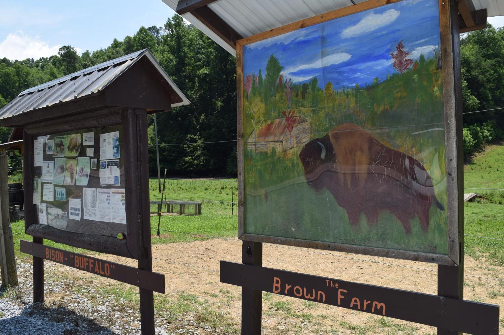 Bear Necessities, Luxury 5Bd Mtn Views, Hot Tub, Many Bear Sightings Villa Gatlinburg Luaran gambar