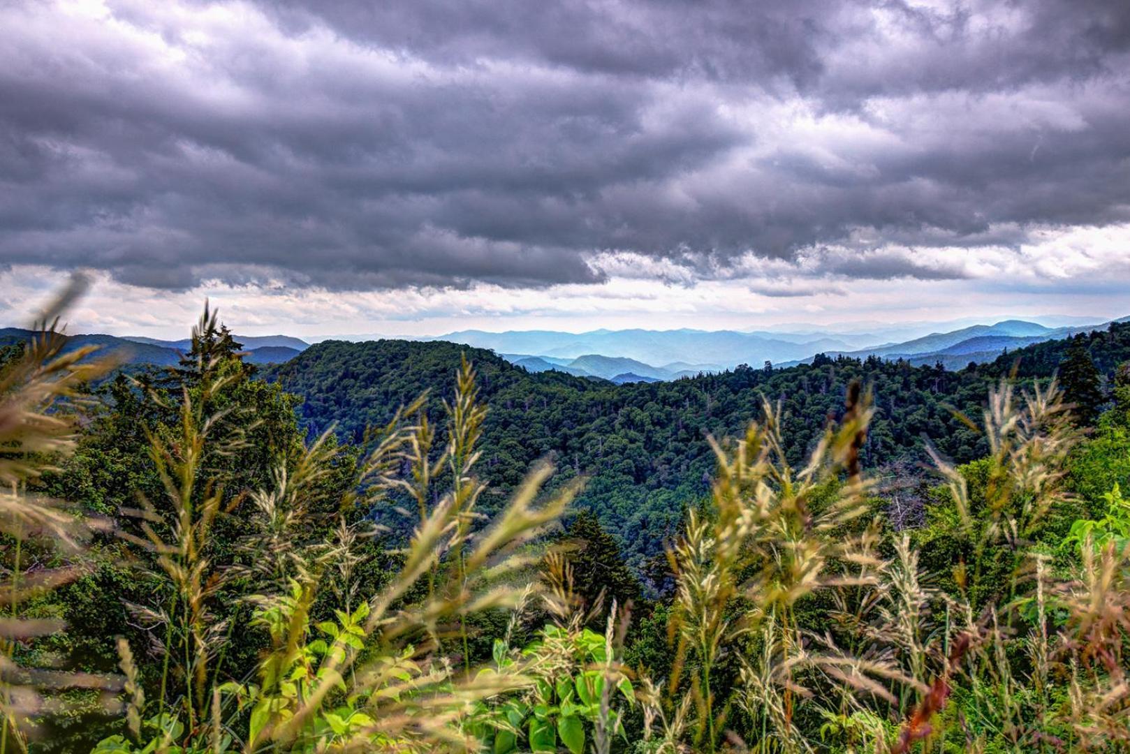 Bear Necessities, Luxury 5Bd Mtn Views, Hot Tub, Many Bear Sightings Villa Gatlinburg Luaran gambar