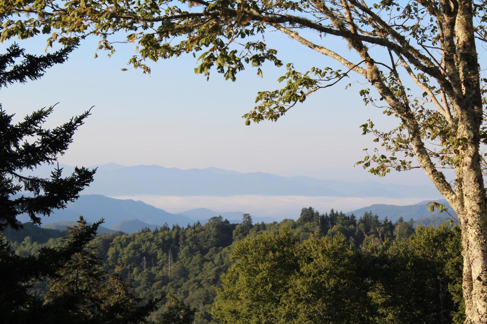 Bear Necessities, Luxury 5Bd Mtn Views, Hot Tub, Many Bear Sightings Villa Gatlinburg Luaran gambar