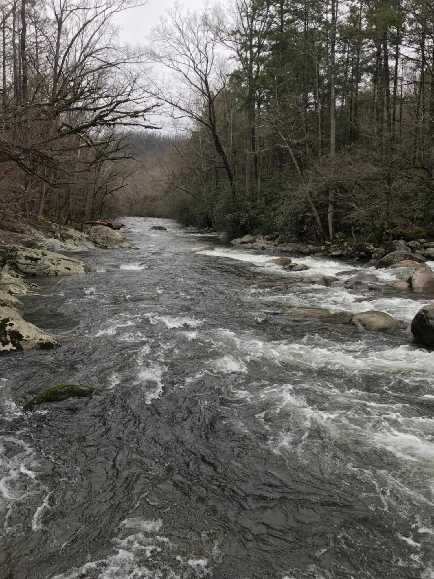 Bear Necessities, Luxury 5Bd Mtn Views, Hot Tub, Many Bear Sightings Villa Gatlinburg Luaran gambar