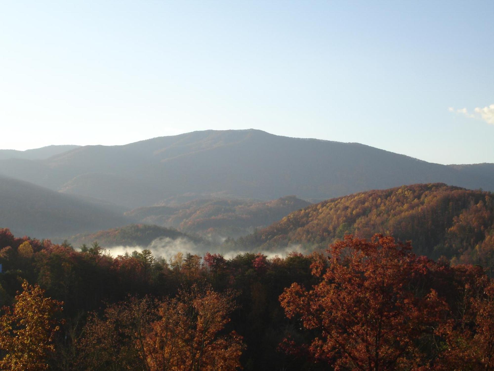 Bear Necessities, Luxury 5Bd Mtn Views, Hot Tub, Many Bear Sightings Villa Gatlinburg Luaran gambar