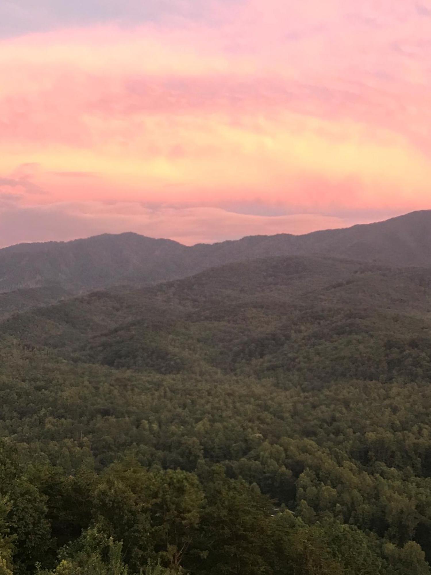 Bear Necessities, Luxury 5Bd Mtn Views, Hot Tub, Many Bear Sightings Villa Gatlinburg Luaran gambar