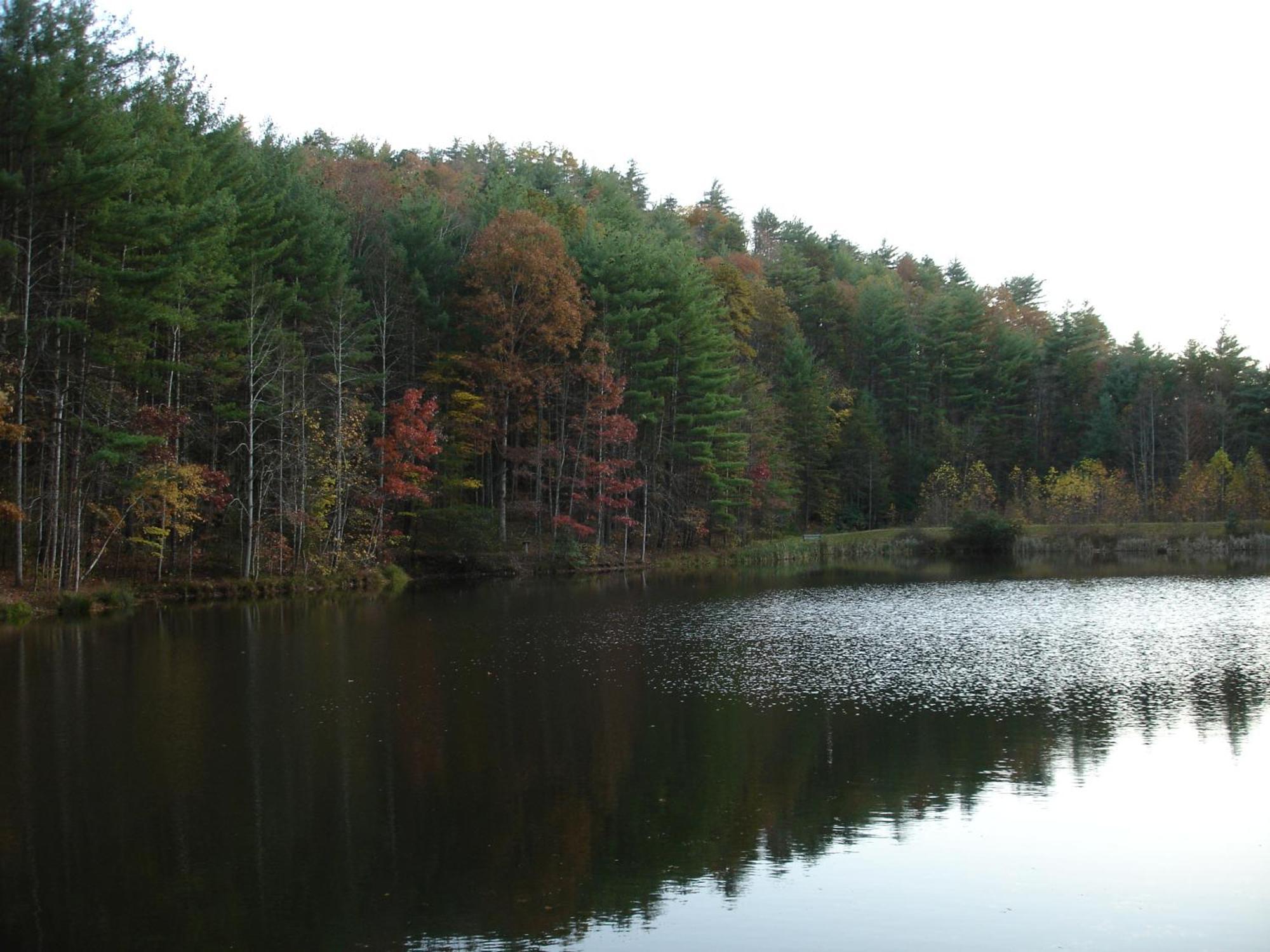 Bear Necessities, Luxury 5Bd Mtn Views, Hot Tub, Many Bear Sightings Villa Gatlinburg Luaran gambar