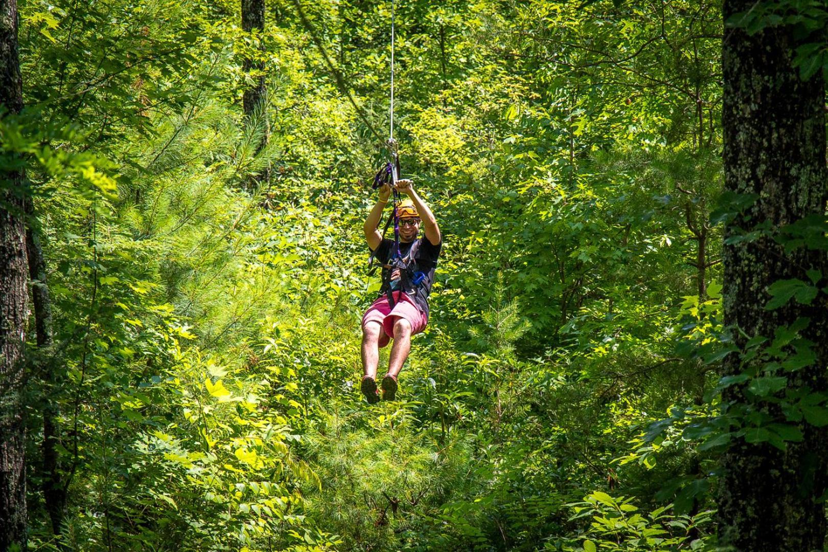 Bear Necessities, Luxury 5Bd Mtn Views, Hot Tub, Many Bear Sightings Villa Gatlinburg Luaran gambar