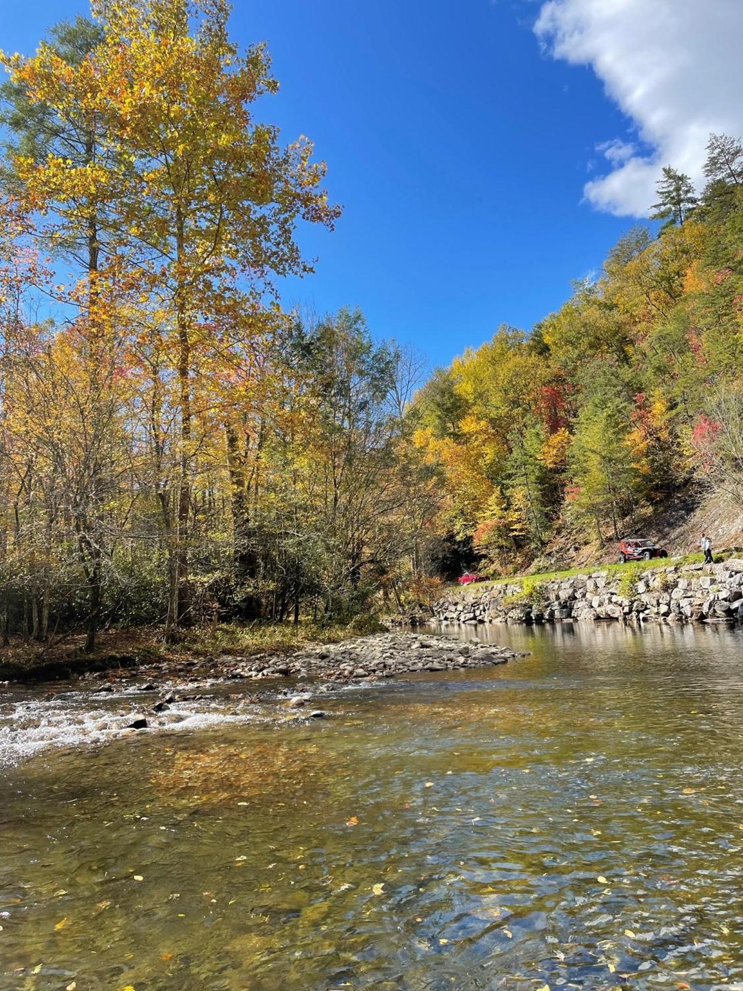 Bear Necessities, Luxury 5Bd Mtn Views, Hot Tub, Many Bear Sightings Villa Gatlinburg Luaran gambar