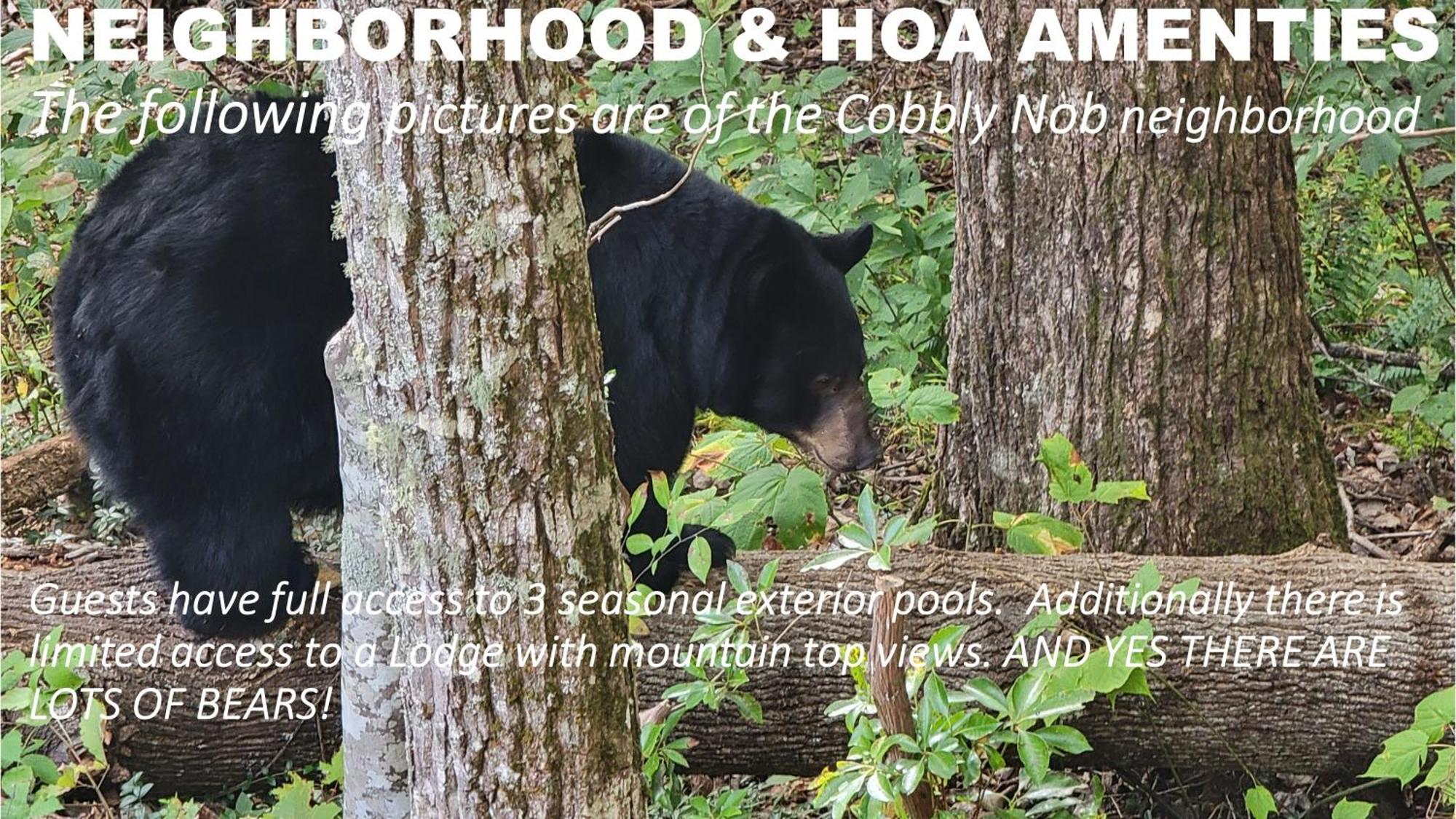 Bear Necessities, Luxury 5Bd Mtn Views, Hot Tub, Many Bear Sightings Villa Gatlinburg Luaran gambar