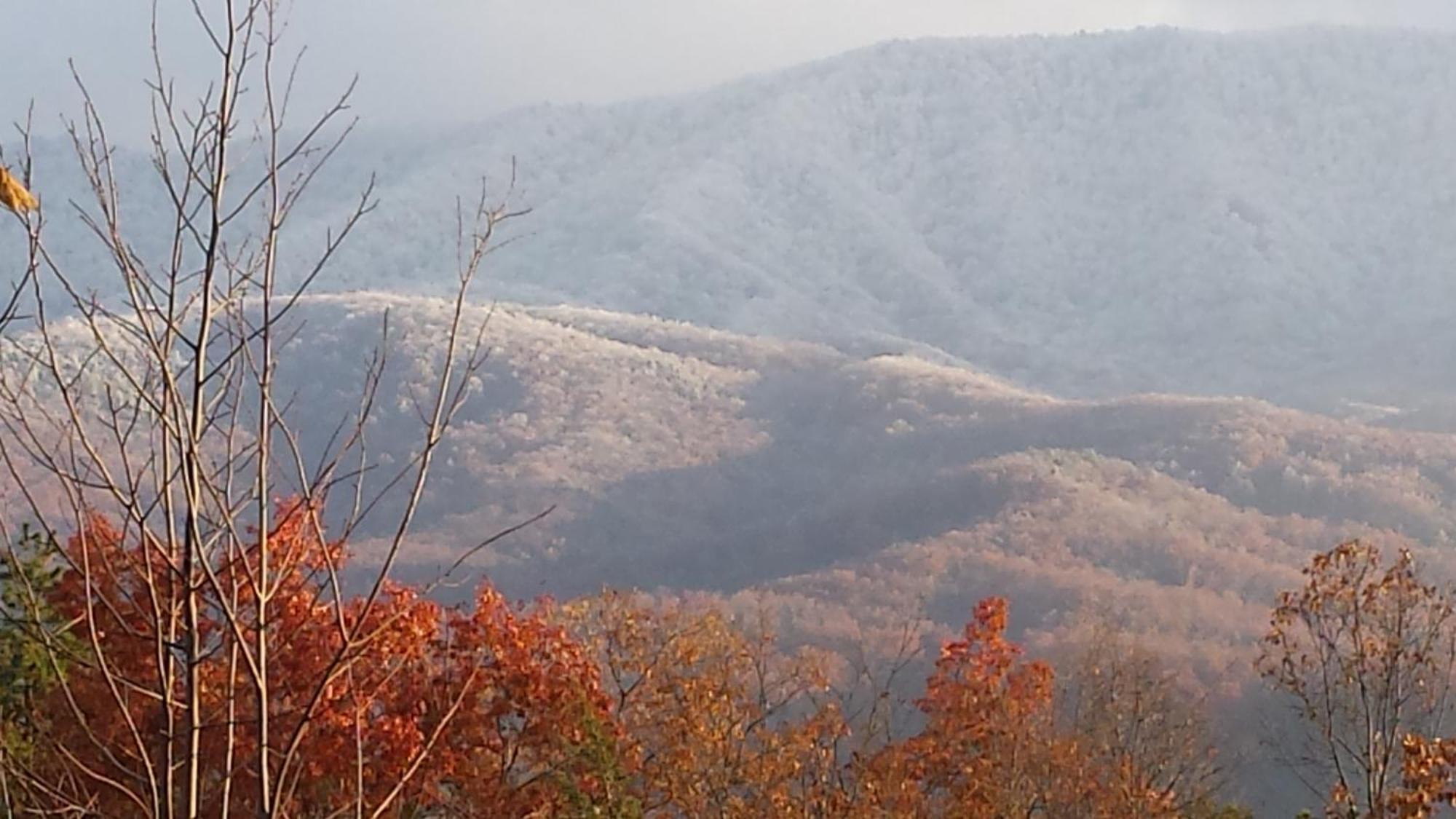 Bear Necessities, Luxury 5Bd Mtn Views, Hot Tub, Many Bear Sightings Villa Gatlinburg Luaran gambar